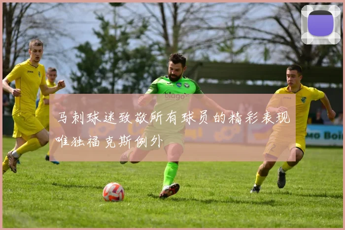 马刺球迷致敬所有球员的精彩表现唯独福克斯例外