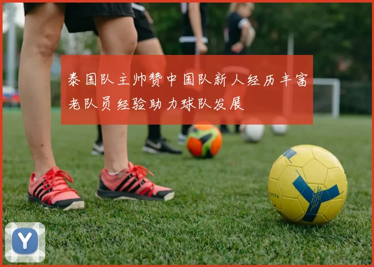 泰国队主帅赞中国队新人经历丰富老队员经验助力球队发展